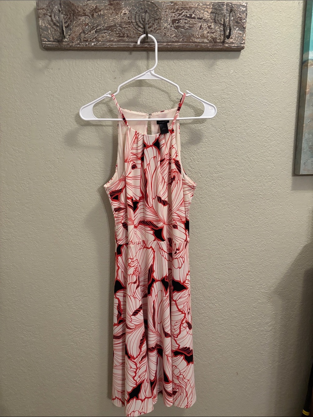 Ann Taylor Cream Midi Dress with Red & Black Floral Print